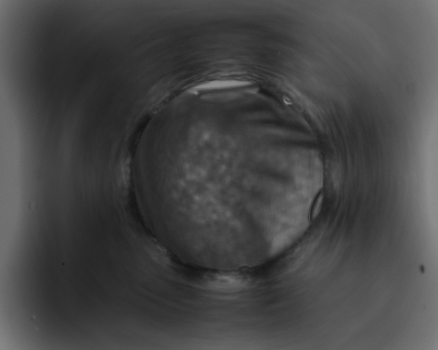 X0000092050475200710031046