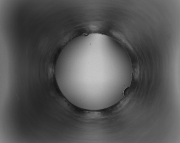 X0000092050476200710031046