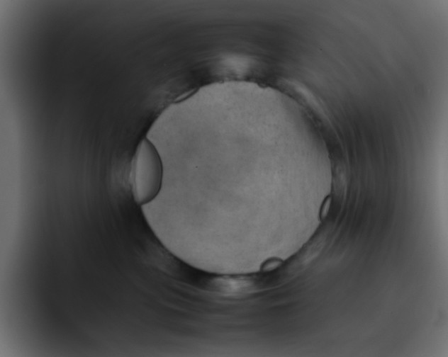 X0000092050477200710031046