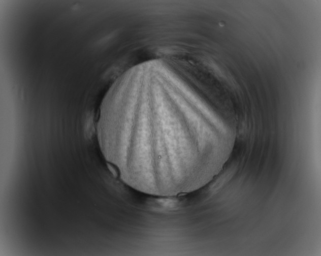 X0000092050478200710031046