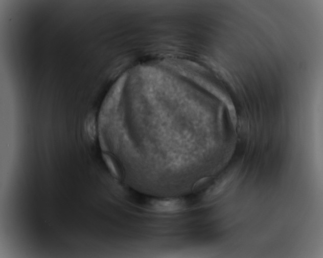 X0000092050479200710031046