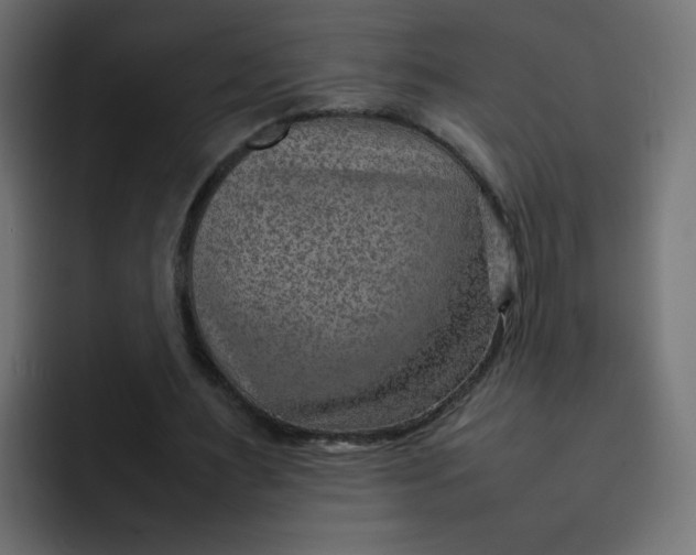 X0000092050483200710031045