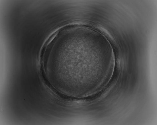 X0000092050484200710031045