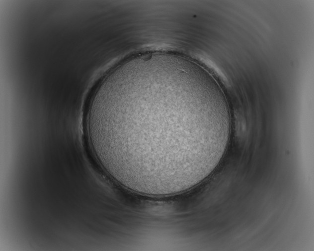 X0000092050486200710031045