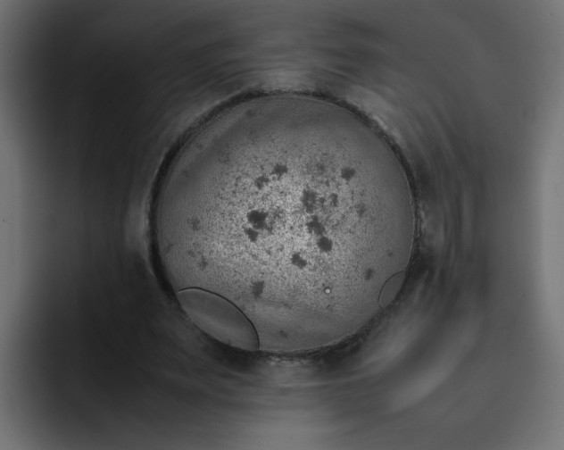 X0000092050487200710031045