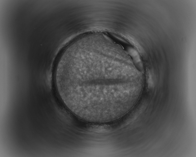 X0000092050488200710031045