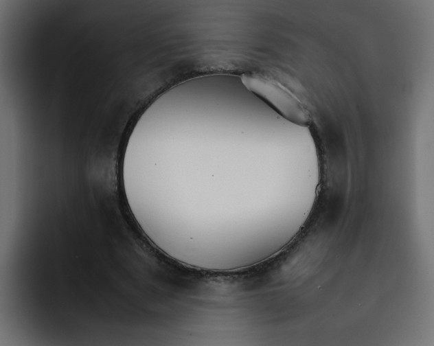 X0000092050489200710031045