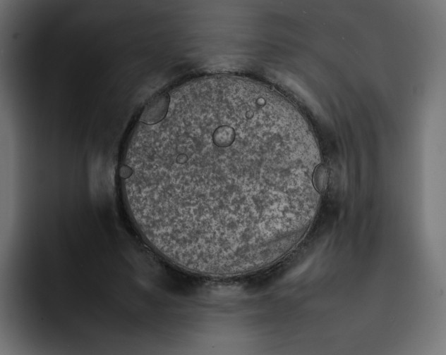 X0000092050491200710031045