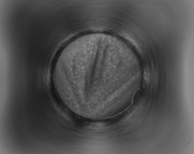 X0000092050492200710031045