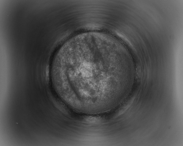 X0000092050494200710031045