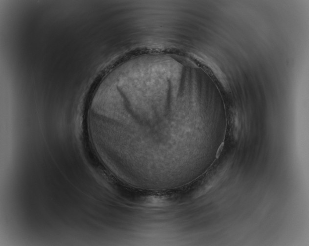 X0000092050496200710031045