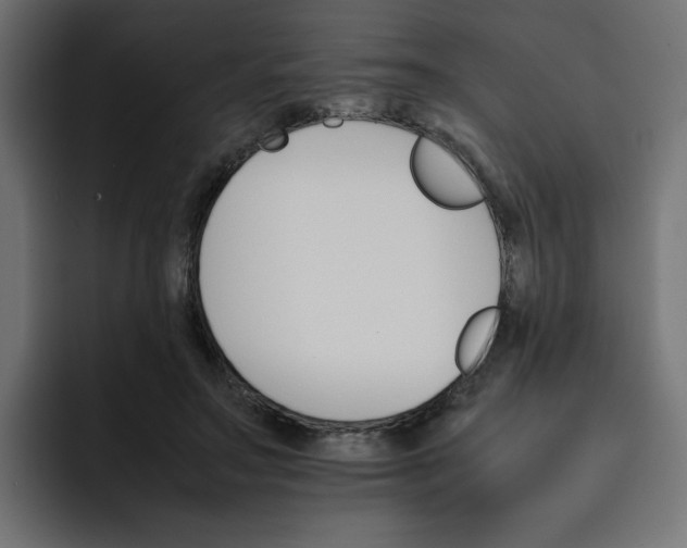 X0000092050499200710031045