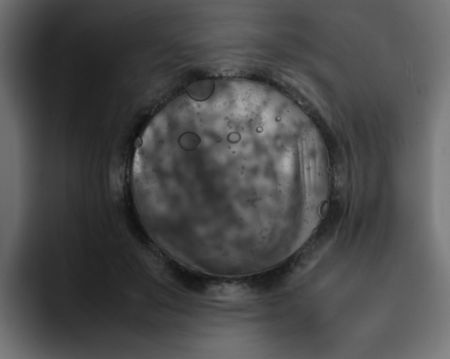 X0000092050503200710031045