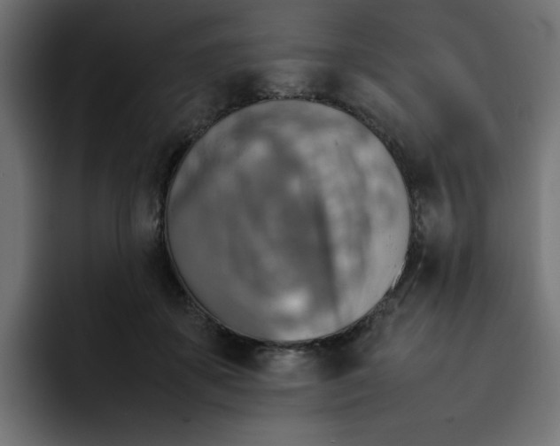 X0000092050507200710031045