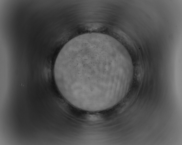 X0000092050510200710031045