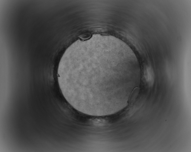 X0000092050512200710031045