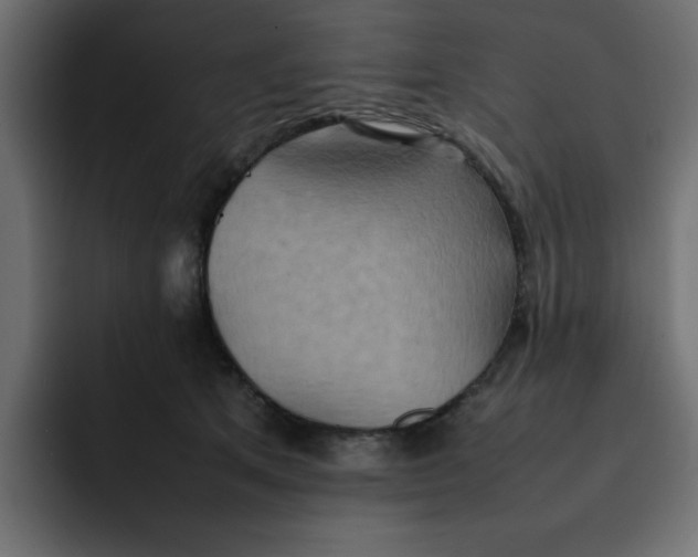 X0000092050513200710031045