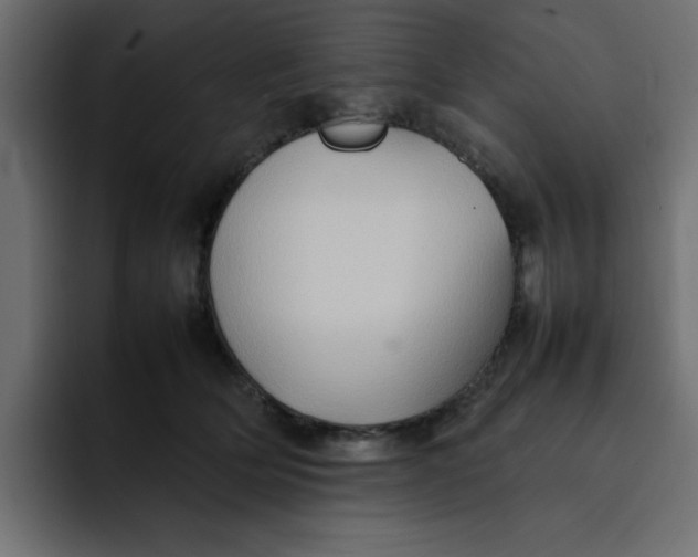 X0000092050514200710031045