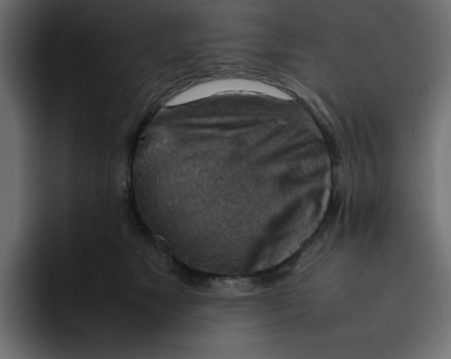 X0000092050517200710031045