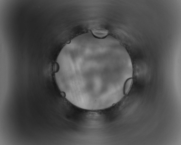 X0000092050519200710031045