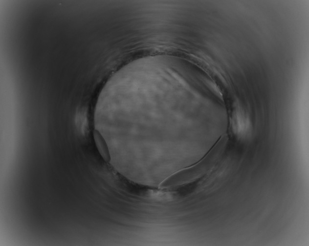 X0000092050520200710031045