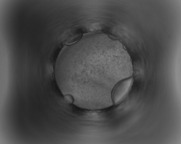 X0000092050523200710031045