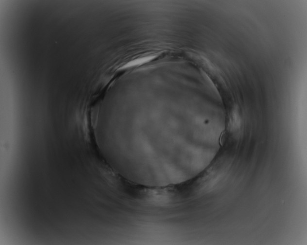 X0000092050524200710031045