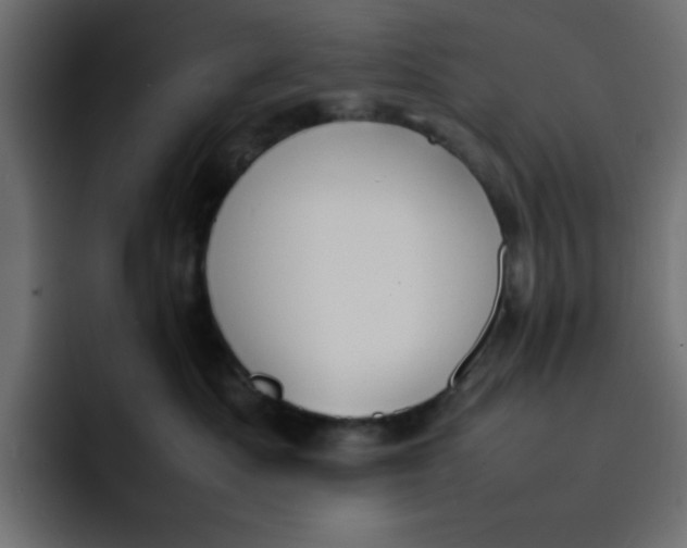 X0000092050525200710031045