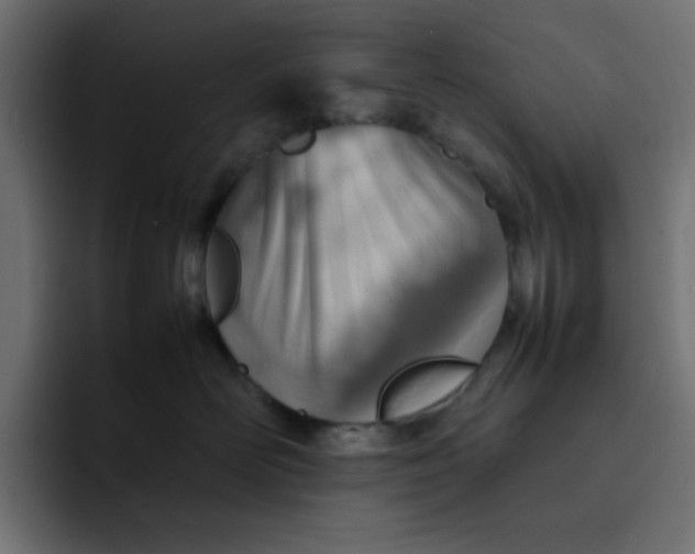 X0000092050526200710031045