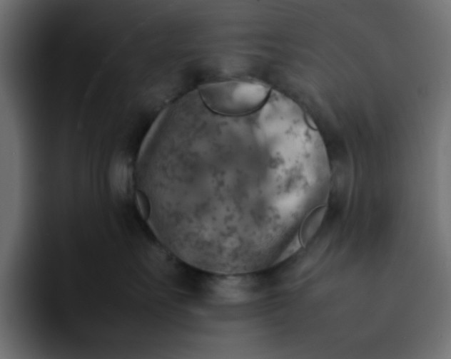 X0000092050527200710031045