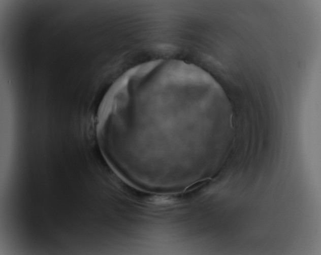 X0000092050528200710031045