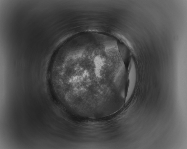 X0000092050531200710031044