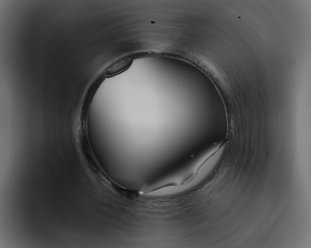 X0000092050532200710031044