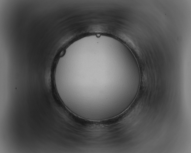 X0000092050535200710031044