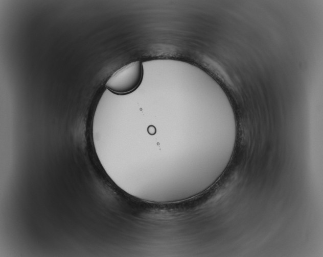 X0000092050538200710031044