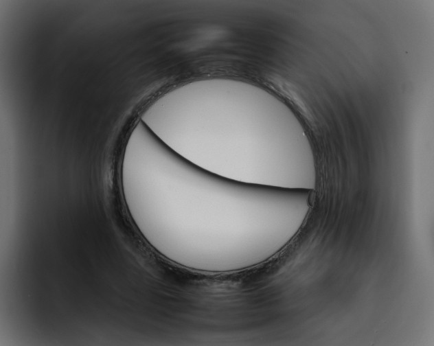 X0000092050539200710031044