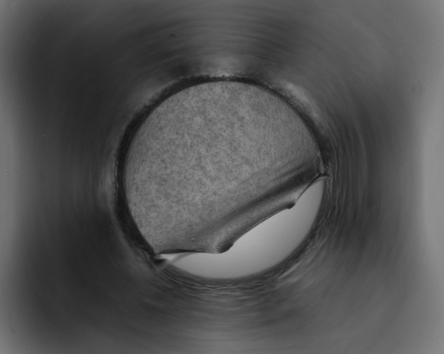 X0000092050540200710031044