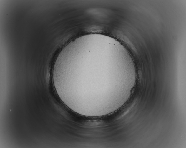 X0000092050541200710031044