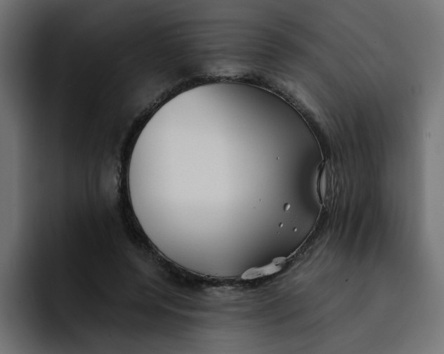 X0000092050544200710031044