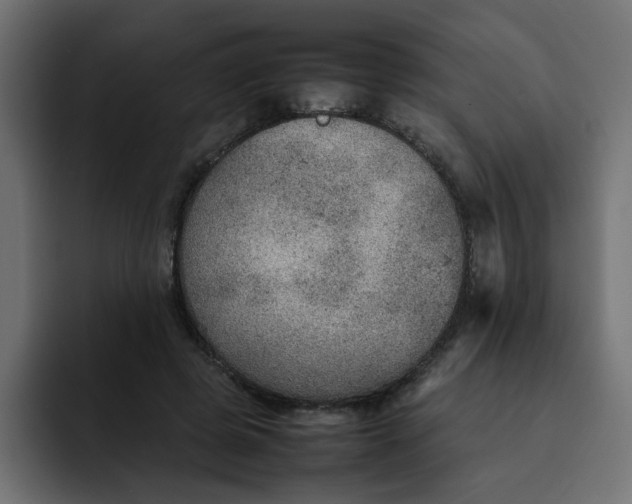 X0000092050545200710031044