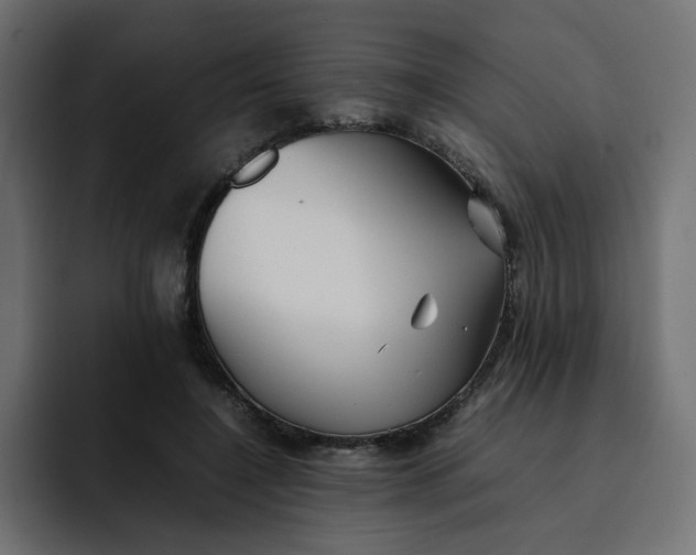 X0000092050548200710031044