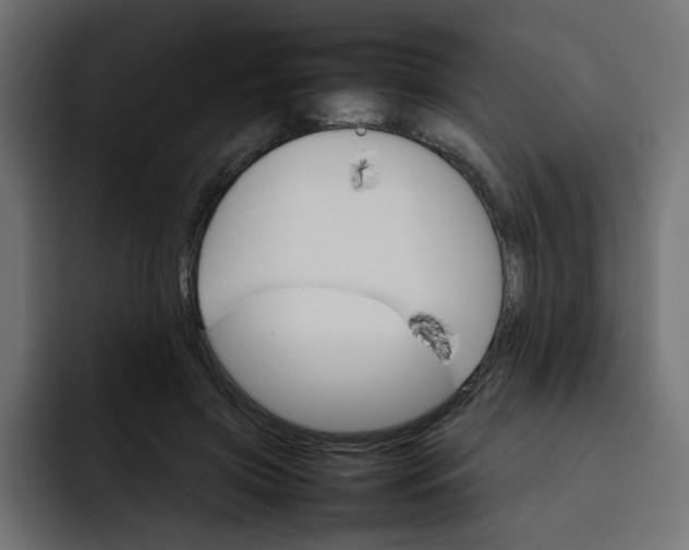 X0000092050549200710031044