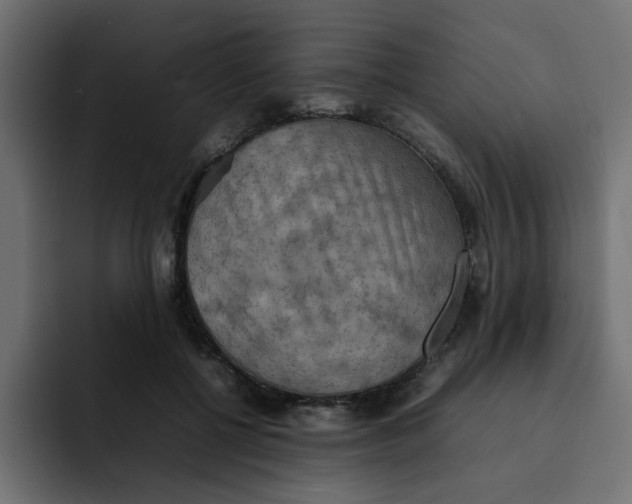 X0000092050552200710031044