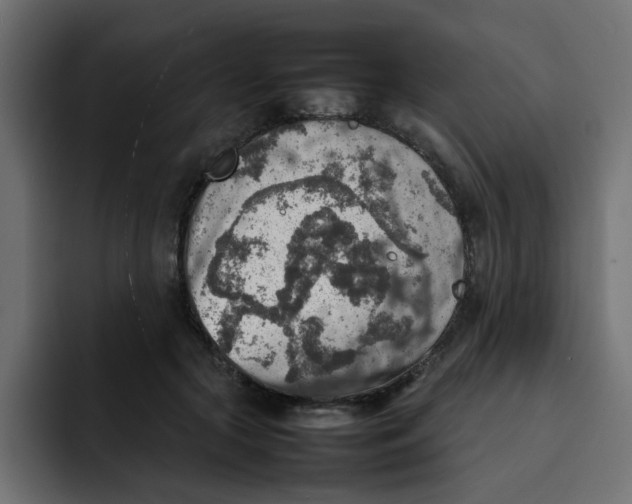 X0000092050553200710031044