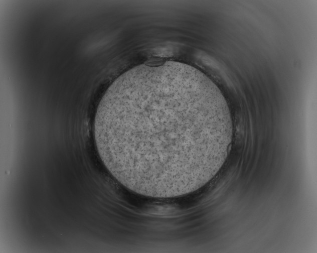 X0000092050555200710031044