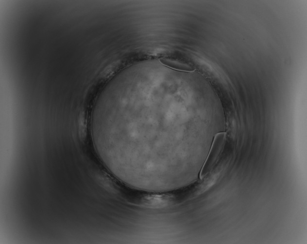 X0000092050558200710031044