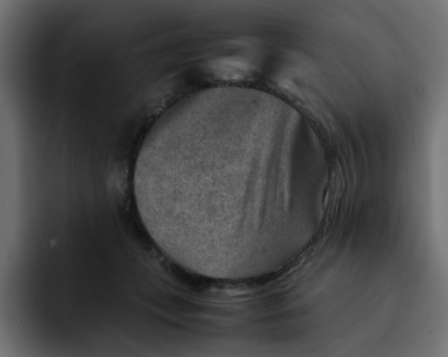 X0000092050559200710031044