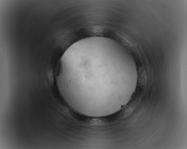 X0000092050562200710031044