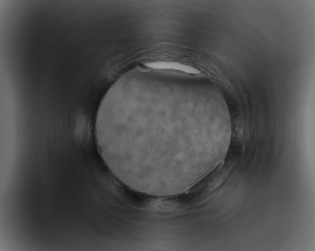 X0000092050568200710031044