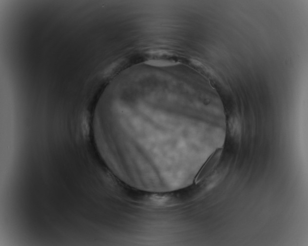 X0000092050570200710031044